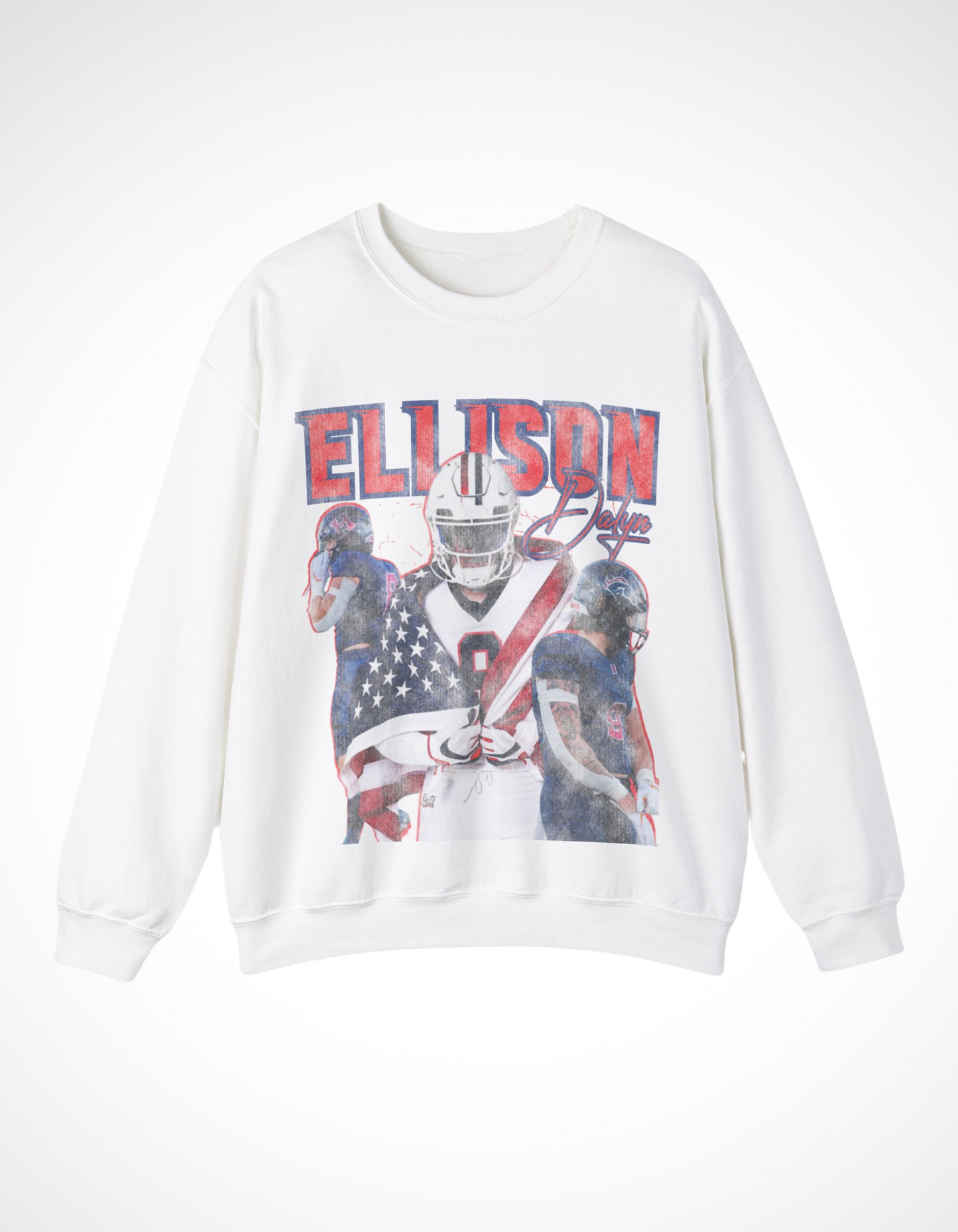 Dalyn Ellison Vintage Graphic Crewneck